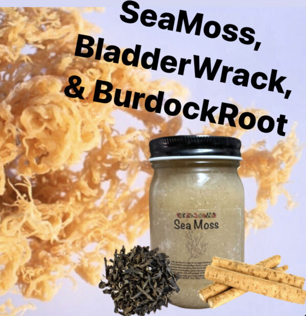 Seamoss Gel Burdock Root Bladderwrack